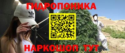 дурь Будённовск