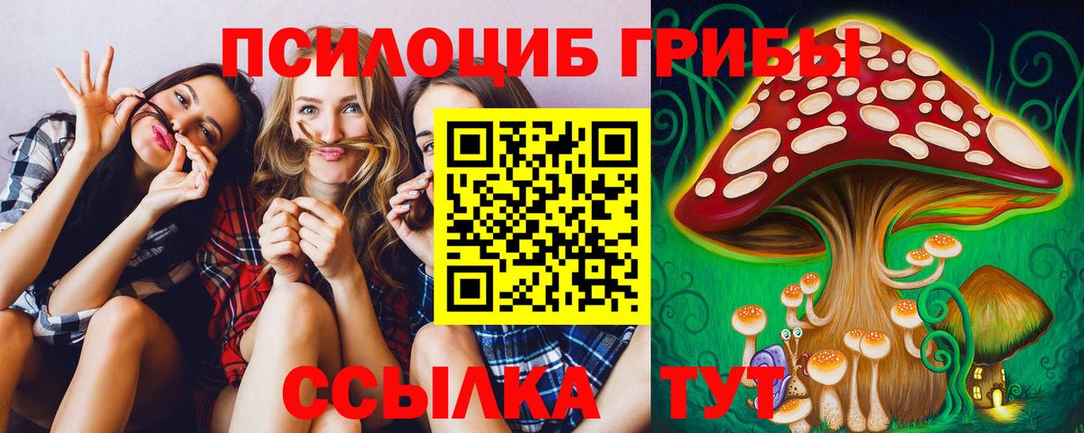 Кострома  Вход с VPN  Кокаин  Канабис  Меф МЯУ МЯУ   Меф  Марихуана  Гашиш 