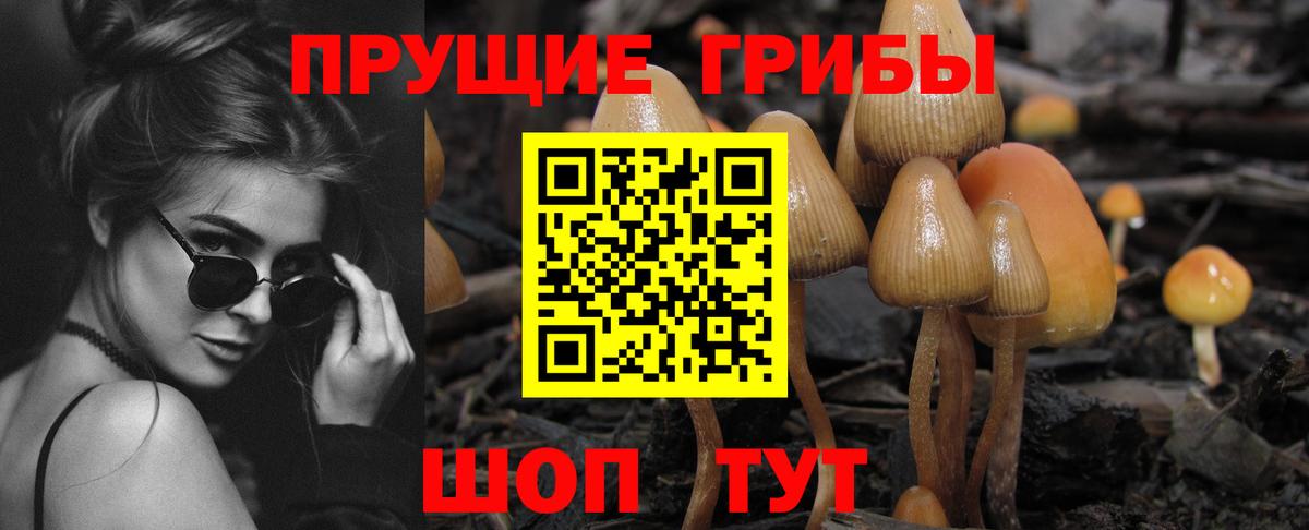 Галлюциногенные грибы Cubensis  купить наркотик  Галлюциногенные грибы MAGIC MUSHROOMS  Кострома  Вход с VPN 